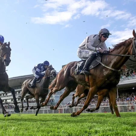 Horses for Courses – Is there a ‘right’ way to bet on horses?