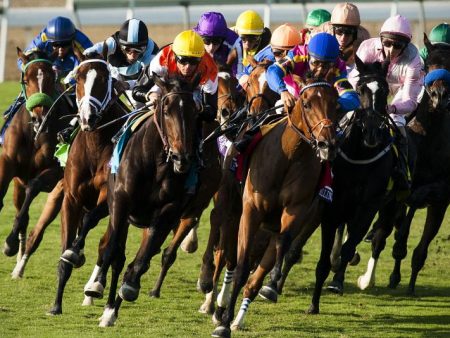 Horses for Courses – Is there a ‘right’ way to bet on horses?