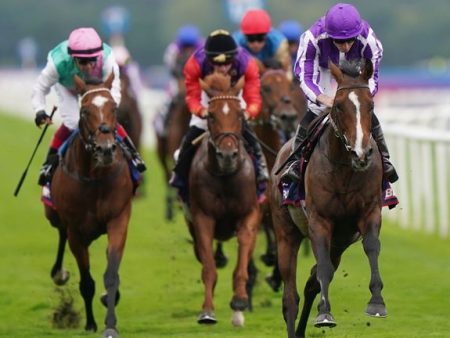 St Leger Runners, Riders & Best Odds